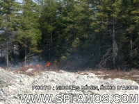 2005-05-06 - Incendie d'herbes, de broussailles et de forêt - Amos
