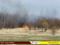 2006-05-10 - Incendie d'herbes, broussailles et forêt - Sainte-Gertrude-Manneville