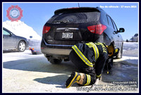 2014-03-17 - Incendie de véhicule (Automobile) - Amos