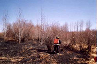 2002-05-11 - Incendie d'herbe et broussailles - Amos
