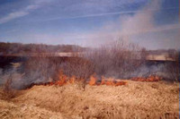 2002-05-21 - Incendie d'herbes et broussailles - Amos