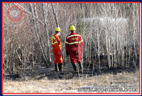 2010-04-22 - Incendie de broussailles - Saint-Dominique-du-Rosaire